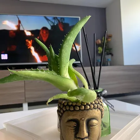 Apartamento Hill Tirana