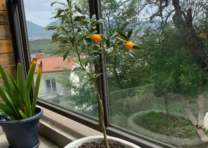 Apartamento Hill Tirana Selitë e Vogël