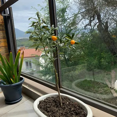 公寓 Hill Tirana Selitë e Vogël