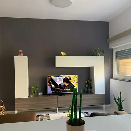 Hill Tirana Selita e Vogel